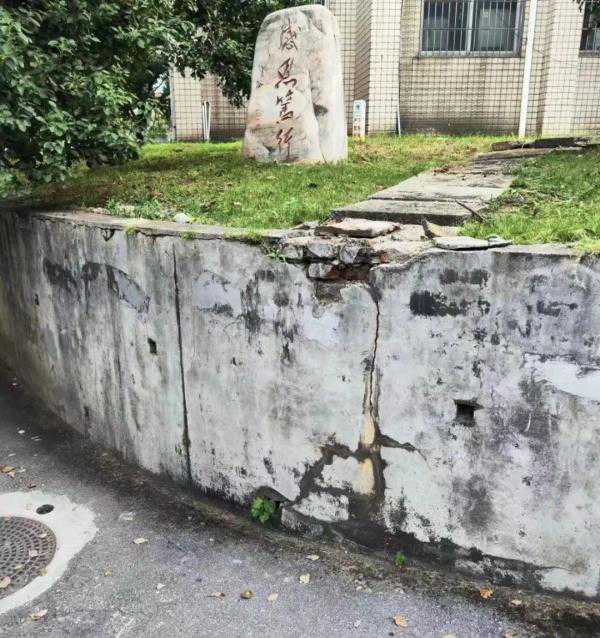 “修墙”竟然成了课程作业？“别说，你还真别说……”