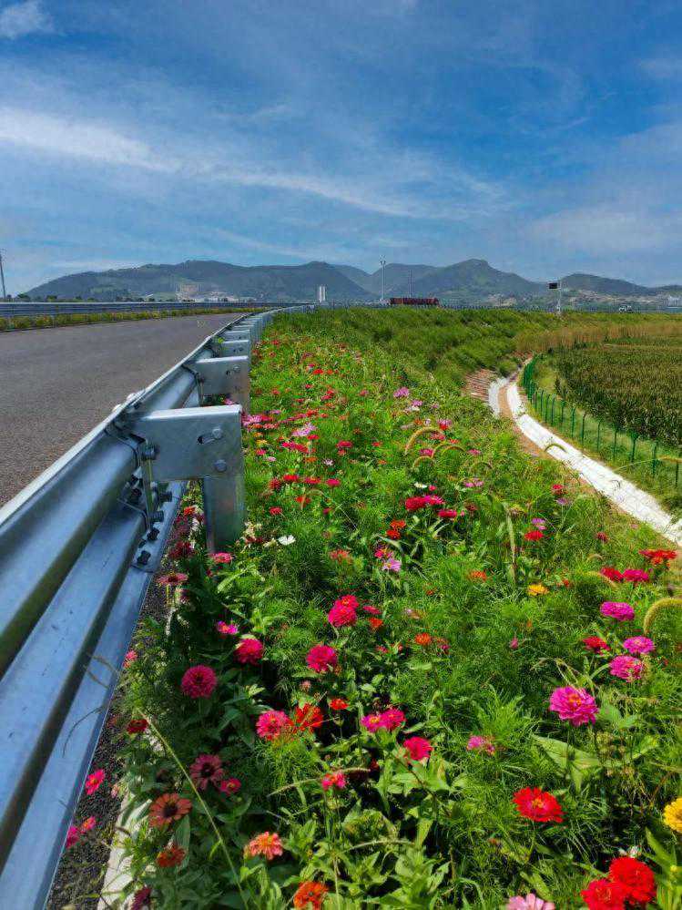 创新发展看山高 | 植物纤维毯：“织”出高速公路绿色新图景
