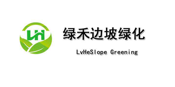 今天我们了解一下植物纤维毯以及它的主要特性