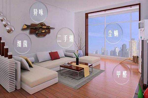 蓝天豚硅藻泥给你一个会“呼吸”的家