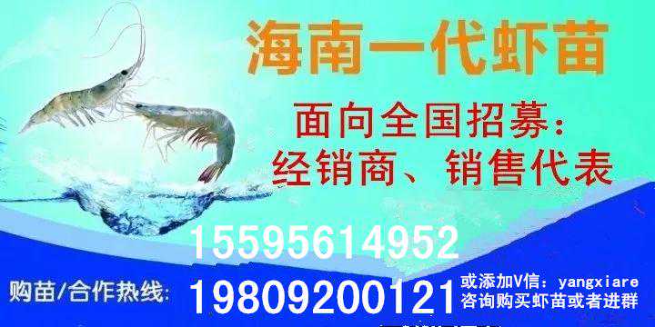 《藻类科普》——认识硅藻