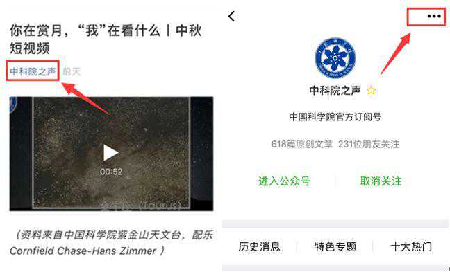 硅藻为啥擅长“捕光”？