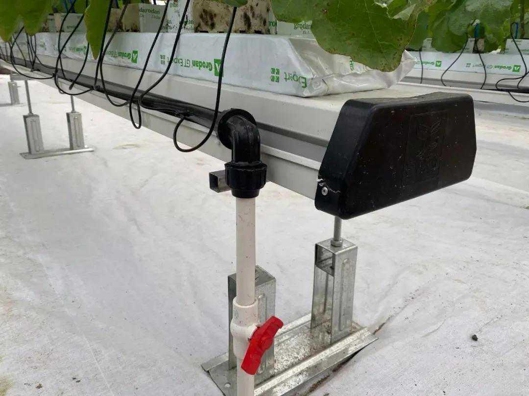 无土栽培技术之岩棉栽培技术