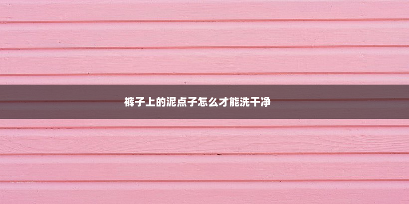 裤子上的泥点子怎么才能洗干净