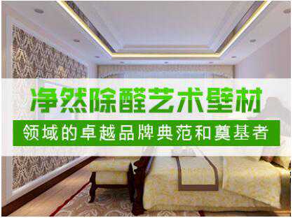 硅藻泥十大品牌 净然充分彰显主人的非凡品味 与众不同