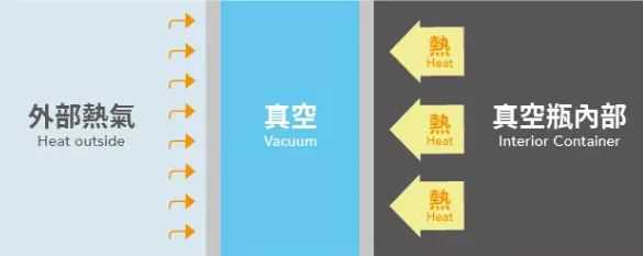 今天的保温杯里泡点啥？让我瞅瞅