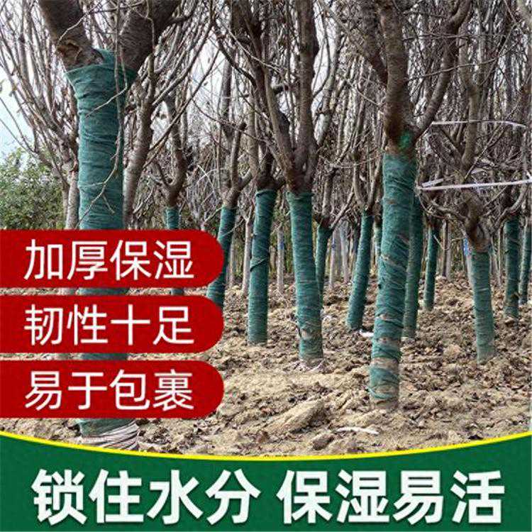 园林养护裹树布 树木防寒布吸湿保温