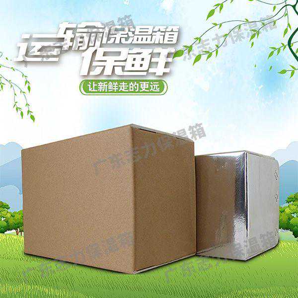 新型优质冷链运输保温箱，为速冻食品行业“保驾护航”